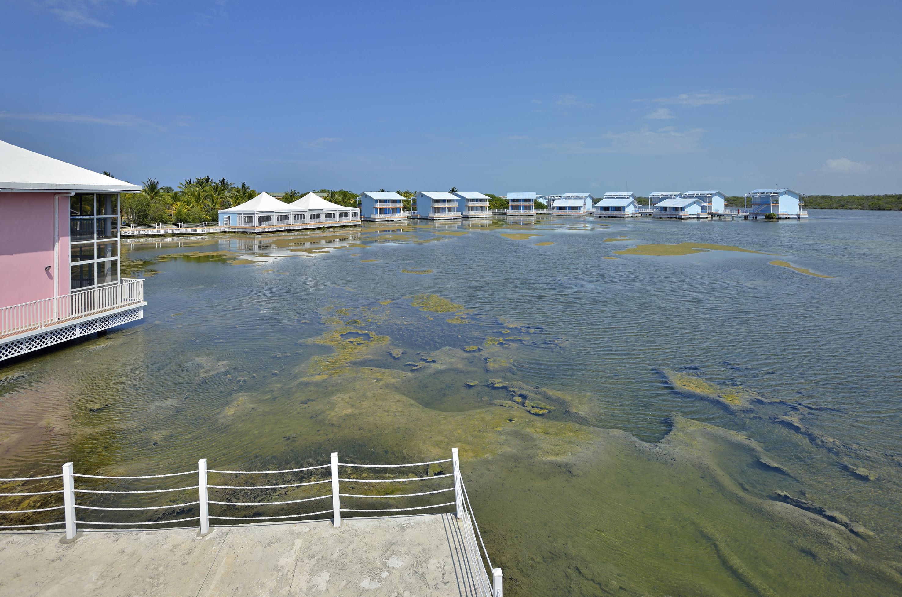 Hotel Melia Cayo Coco - Adults Only Esterno foto