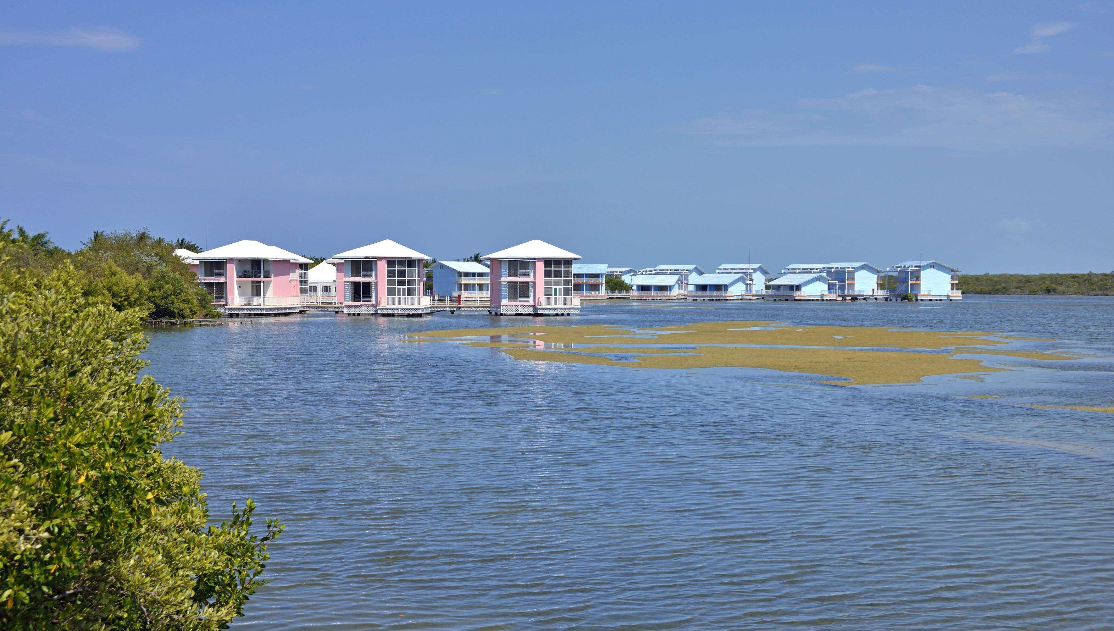 Hotel Melia Cayo Coco - Adults Only Esterno foto